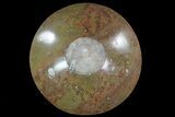 Fossil Goniatite Bowl - Stoneware #73763-2